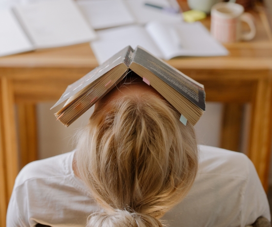 examentraining brainboost